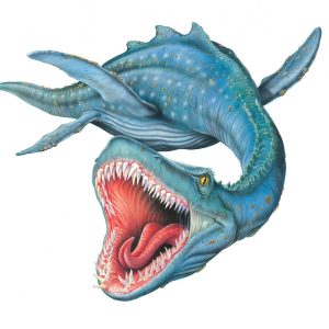 Моргавр, Morgawr — морской змей из корнуоллской мифологии - Корнуоллская мифология