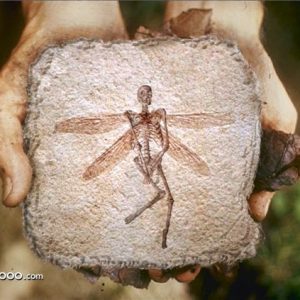 Фейри, Faerie — мифическое существо из кельтской мифологии - Кельтская мифология