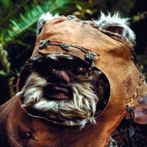 Эвоки, Ewoks — разумное существо из книг вымышленных существ - Книги вымышленных существ