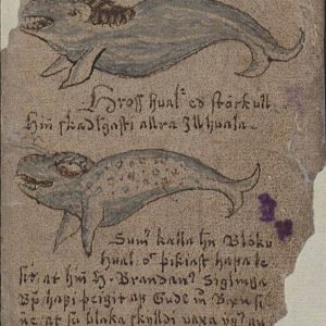 Идльквели, Illhveli — морское чудовище из исландской мифологии - Исландская мифология