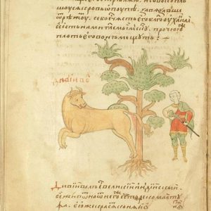 Комол, Komol — мифическое существо из славянской мифологии - Славянская мифология
