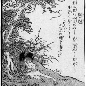 Морё, Mizuha — дух воды из китайской мифологии - Китайская мифология