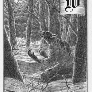 Оборотень, Werewolf — оборотень из мировой мифологии - Мировая мифология (Мифология и фольклор разных стран мира)