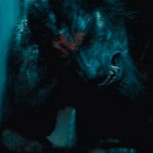 Оборотень, Werewolf — оборотень из мировой мифологии - Мировая мифология (Мифология и фольклор разных стран мира)