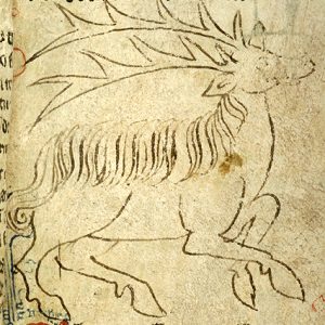 Парандр, Marsok — мифический зверь из мировой мифологии - Мировая мифология (Мифология и фольклор разных стран мира)