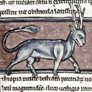 Парандр, Marsok — мифический зверь из мировой мифологии - Мировая мифология (Мифология и фольклор разных стран мира)