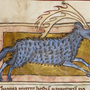 Парандр, Marsok — мифический зверь из мировой мифологии - Мировая мифология (Мифология и фольклор разных стран мира)