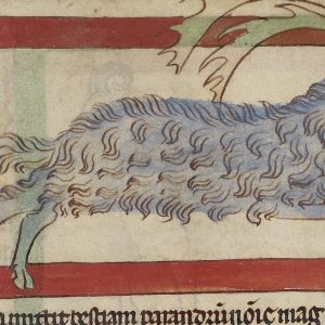 Парандр, Marsok — мифический зверь из мировой мифологии - Мировая мифология (Мифология и фольклор разных стран мира)