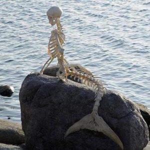Русалка, Mermaid — мифическое существо из мировой мифологии - Мировая мифология (Мифология и фольклор разных стран мира)