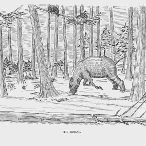 Ходаг, Hodag — мифическое существо из североамериканской мифологии - Североамериканская мифология