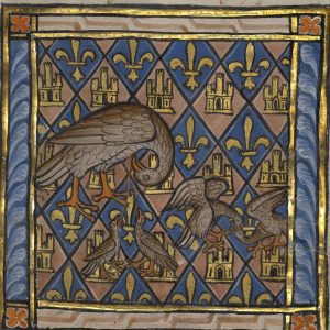 Пеликан, Honocrotalus — мифическая птица из мировой мифологии - Мировая мифология (Мифология и фольклор разных стран мира)