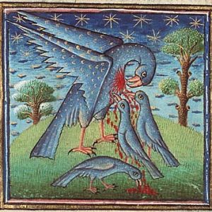 Пеликан, Honocrotalus — мифическая птица из мировой мифологии - Мировая мифология (Мифология и фольклор разных стран мира)