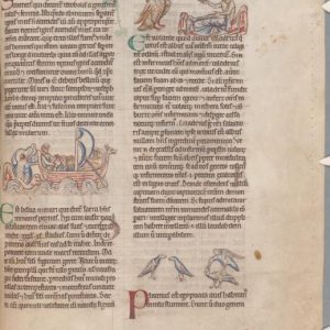 Пеликан, Honocrotalus — мифическая птица из мировой мифологии - Мировая мифология (Мифология и фольклор разных стран мира)
