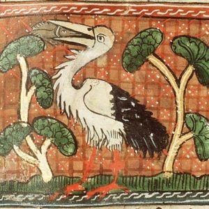 Аист, Cicaniae — мифическая птица из славянской мифологии - Славянская мифология