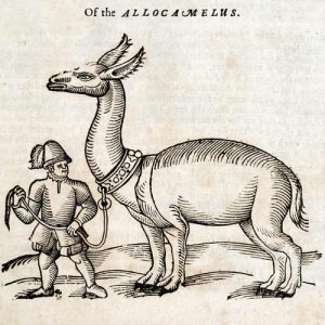 Аллокамелус, Allocamelus — геральдический зверь из мировой мифологии - Мировая мифология (Мифология и фольклор разных стран мира)