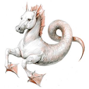 Гиппокамп, Hippocamp — мифическое существо из древнегреческой мифологии - Греческая/Древнегреческая мифология