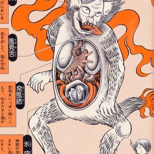 Каси, Kasha — кошачий демон из японской мифологии - Японская мифология