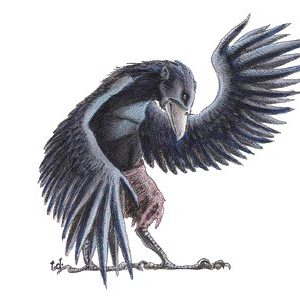Коракс, Corax — оборотень-ворон из книг вымышленных существ - Книги вымышленных существ