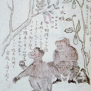 Кэммун, Kawataro — дух из японской мифологии - Японская мифология