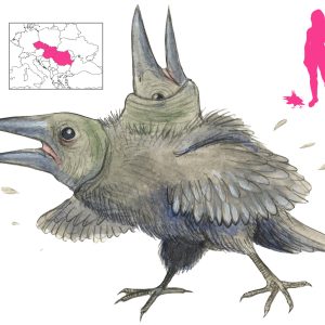 Мелало, Melalo — демон из цыганской мифологии - Цыганская мифология и фольклор