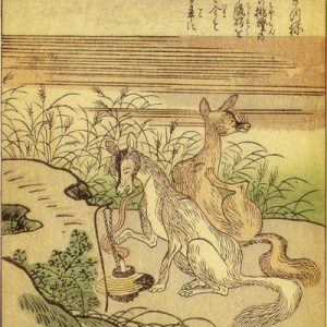 Ногицунэ (дикая лисица), Nogitsune — ёкай-лисица из японской мифологии - Японская мифология