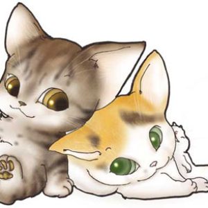 Нэко, Neko — ёкай из японской мифологии - Японская мифология