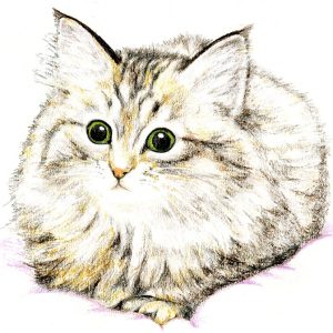 Нэко, Neko — ёкай из японской мифологии - Японская мифология