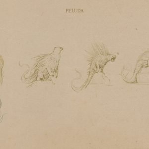 Пелюда, La Velue — чудовище из французской мифологии - Французская мифологии