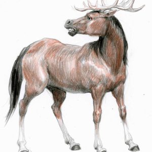 Гиппоцервус, Hippocervus — мифическое существо из древнегреческой мифологии - Греческая/Древнегреческая мифология