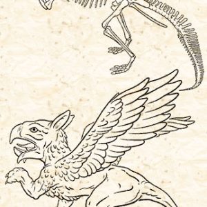 Грифон, Griffon — мифическое существо из греческой мифологии - Греческая/Древнегреческая мифология