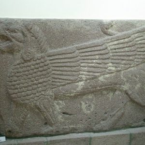 Грифон, Griffon — мифическое существо из греческой мифологии - Греческая/Древнегреческая мифология