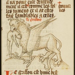 Грифон, Griffon — мифическое существо из греческой мифологии - Греческая/Древнегреческая мифология