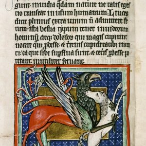 Грифон, Griffon — мифическое существо из греческой мифологии - Греческая/Древнегреческая мифология