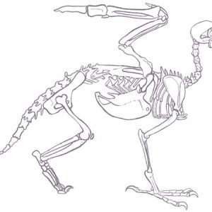 Грифон, Griffon — мифическое существо из греческой мифологии - Греческая/Древнегреческая мифология