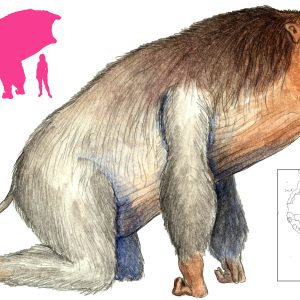 Додо, Dodo — злой дух из африканской мифологии - Африканская мифология