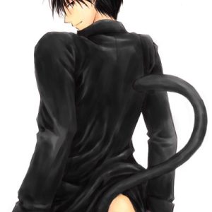 Нэкомусумэ, Neko-musume — мифическое существо из японской мифологии - Японская мифология