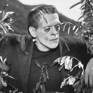 Чудовище Франкенштейна, Frankenstein's monster — чудовище из книг вымышленных существ - Книги вымышленных существ