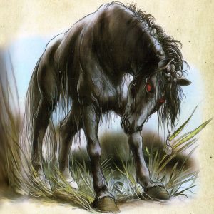 Келпи, Glashtyn — водяной дух и оборотень из шотландской мифологии - Шотландская мифология
