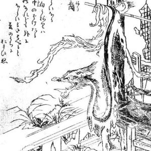 Сиро-Унэри, Japan’s tiny rag dragons: the Shiro-Uneri — ёкай из японской мифологии - Японская мифология