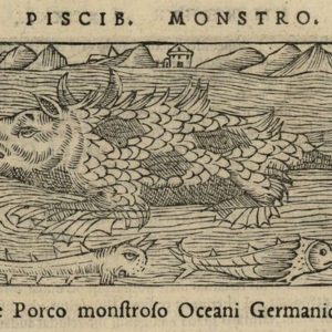 Ваттерсвейн, Dutch Watterswyn, and other marine pig monsters — морское чудовище из мировой мифологии - Мировая мифология (Мифология и фольклор разных стран мира)