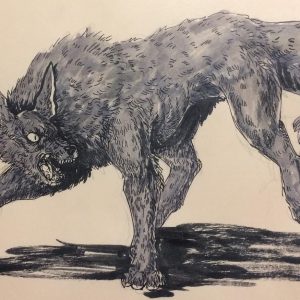 Капельтвейт, Capelthwaite — дух-оборотень из мировой мифологии и фольклора разных стран мира - Мировая мифология (Мифология и фольклор разных стран мира)