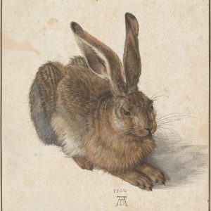 Ведьма-заяц, witch hare — оборотень из датской мифологии - Датская мифология