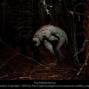 Энфилдский монстр, Enfield Monster — чудовище из криптид - Криптиды