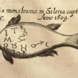 Чудовищная рыба, Piscis monstrosus — чудовище из европейской мифологии - Европейская мифология
