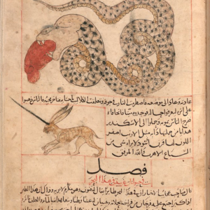 Аль-Ми’радж, Al-Mi’raj — мифическое существо из арабской мифологии - Арабская мифология