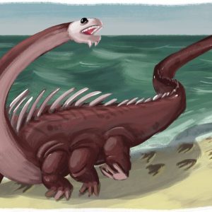Стронсейское чудовище, Stronsay Beast — криптид из криптологии - Криптиды