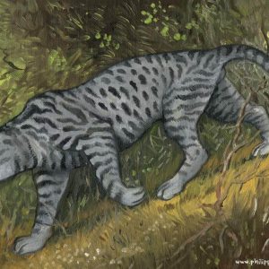 Мнгва, Mngwa — криптид из мировой мифологии - Мировая мифология (Мифология и фольклор разных стран мира)