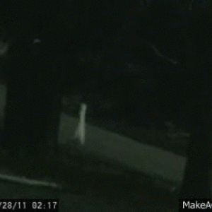 Найткроулеры из Фресно, Fresno Nightcrawlers — криптид из мифологии криптидов - Криптиды