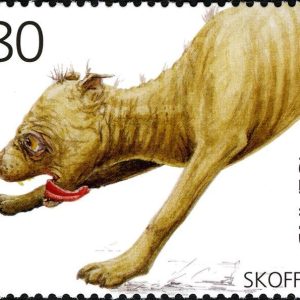 Скоффин, Skoffín — чудовище из исландской мифологии - Исландская мифология