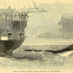 Морской змей Рострона, Rostron’s Sea Serpent — морское чудовище из мифологии Криптиды - Криптиды
